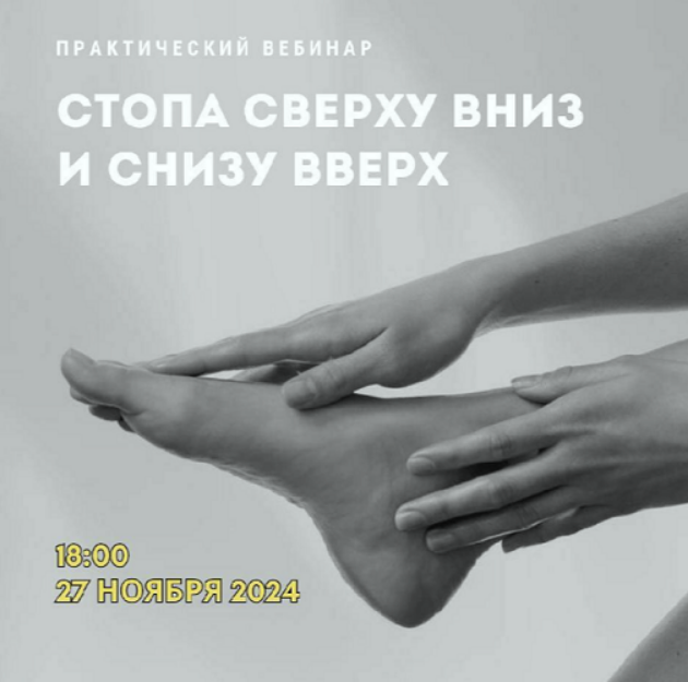 [Александр Волоткевич] Стопа сверху вниз и снизу вверх (2024)