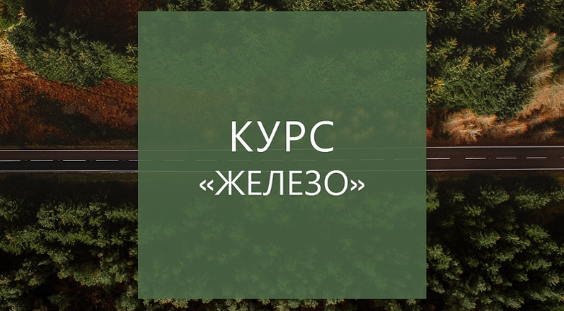 [Елена Суханова] Курс «ЖЕЛЕЗО» (2023)