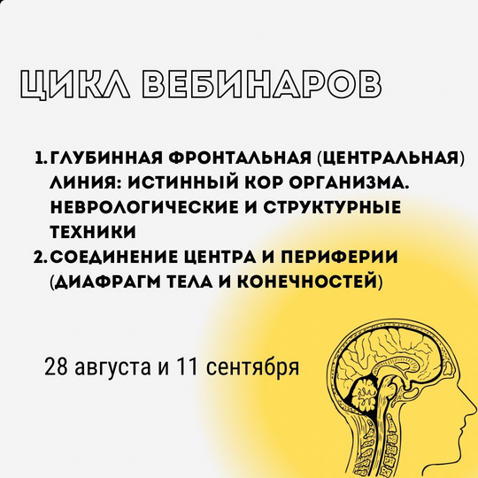 [Александр Волоткевич] Глубинная фронтальная линия: истинный КОР организма (2024)
